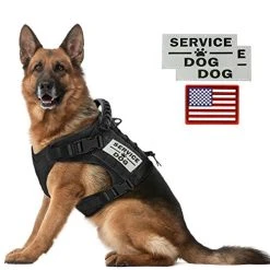 Mia's Pet Supply Tactical Dog Vest Harness & Leash Set - Durable, Adjustable, Reflective for Safety 27 Mia's Pet Supply Leashes And Harness Tactical Service Dog Vest Harness
