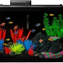 Mia's Pet Supply GloFish 20 Gallon Aquarium Kit With LED Lights, Decor Heater And Filter Fish Products