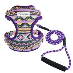 Cheap Mia's Pet Supply Store 28 Mia's Pet Supply Multi-Colored Stylish Dog Walking Vest Harness And Leash Set- Leashes And Harness