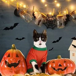 Mia's Pet Supply Apparel 5 Pcs Fall Halloween Dog Shirt Halloween