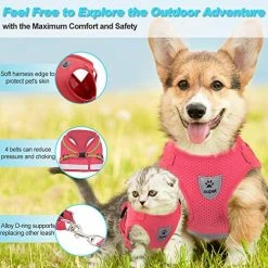 Mia's Pet Supply Cat Harness And Leash Set For Walking Cat And Small Dog Harness