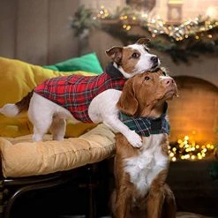 Mia's Pet Supply KAMA BRIDAL Plaid Reversible Dog Fleece Vest - Warm & Stylish Dog Apparel 23 Mia's Pet Supply Apparel KAMA BRIDAL Plaid Dog Fleece Vest, Reversible Warm Dog Clothes,