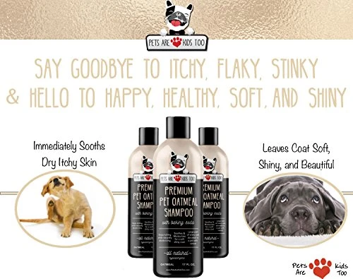 Mia's Pet Supply Oatmeal Anti-Itch Shampoo & Conditioner for Dogs & Cats - Best Deal for Pet Hygiene 2 Mia's Pet Supply : Pet Oatmeal Anti-Itch Shampoo & Conditioner In One!
