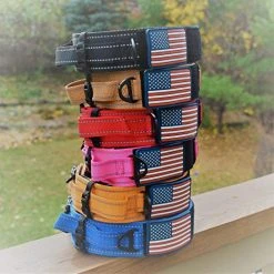 Mia's Pet Supply Dog Collar With Control Handle