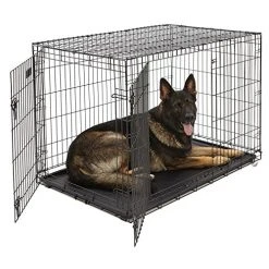 Mia's Pet Supply MidWest Homes For Pets Dog Crate | ICrate Single Door & Double Door