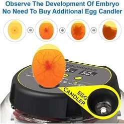 Mia's Pet Supply Chicken Coop Cages KEBONNIXS 12 Egg Incubator, Egg Candler