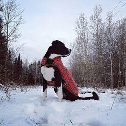 Mia's Pet Supply KAMA BRIDAL Plaid Reversible Dog Fleece Vest - Warm & Stylish Dog Apparel 26 Mia's Pet Supply Apparel KAMA BRIDAL Plaid Dog Fleece Vest, Reversible Warm Dog Clothes,