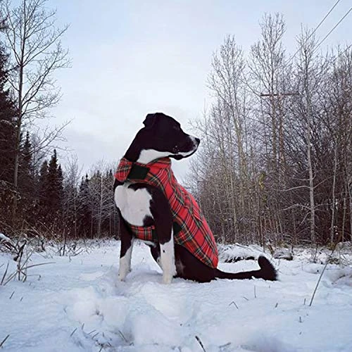 Mia's Pet Supply KAMA BRIDAL Plaid Reversible Dog Fleece Vest - Warm & Stylish Dog Apparel 7 Mia's Pet Supply Apparel KAMA BRIDAL Plaid Dog Fleece Vest, Reversible Warm Dog Clothes,