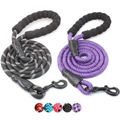 Mia's Pet Supply Strong Dog Leash With Comfortable Padded Handle Leashes And Harness
