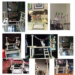 Mia's Pet Supply : QBLEEV Parrot Wood Stand Perch Bird Playstand Playground