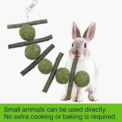 Mia's Pet Supply : PETLAOO Bunny Chew Toys For Teeth, Improve Dental Health -