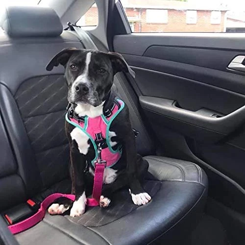 Mia's Pet Supply 2019 Upgraded No-Pull Dog Harness - 3M Reflective Adjustable Vest for Dogs 5 Mia's Pet Supply Leashes And Harness PHOEPET 2019 Upgraded No Pull Dog Harness, 3M Reflective Adjustable Vest