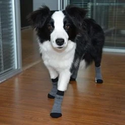 Mia's Pet Supply EXPAWLORER Dog Socks Traction Control Anti-Slip