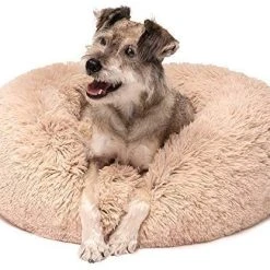 Mia's Pet Supply : Friends Forever Luxury Marshmallow Cat Bed,