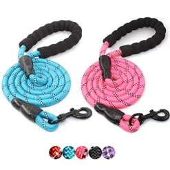 Mia's Pet Supply Strong Dog Leash With Comfortable Padded Handle Leashes And Harness