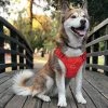 Mia's Pet Supply TIANYAO Large Red Dog Harness No Pull Reflective Oxford Material Soft Pet Vest Adjustable