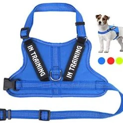 Mia's Pet Supply Leashes And Harness NOYAL In Training Dog Harness, Soft Breathable Mesh Dog Vest Harness