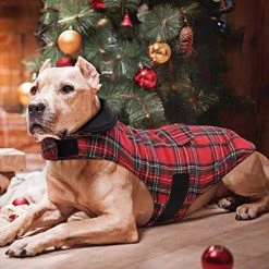 Mia's Pet Supply KAMA BRIDAL Plaid Reversible Dog Fleece Vest - Warm & Stylish Dog Apparel 37 Mia's Pet Supply Apparel KAMA BRIDAL Plaid Dog Fleece Vest, Reversible Warm Dog Clothes,