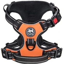 Mia's Pet Supply PoyPet No Pull Dog Harness - Reflective, No Choke Front Lead for Comfort & Safety 27 Mia's Pet Supply PoyPet No Pull Dog Harness, No Choke Front Lead Dog Reflective Harness Leashes And Harness