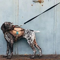 Mia's Pet Supply : Lightweight Urban Hiking Backpack For Dogs Leashes And Harness