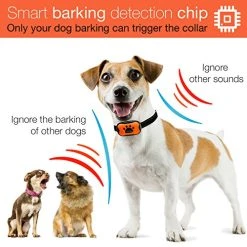 Mia's Pet Supply DogRook Humane Anti-Bark Training Collar for Dogs - Safe & Effective Bark Control 12 Mia's Pet Supply DogRook Dog Bark Collar - Humane Care Anti Barking Training Collar