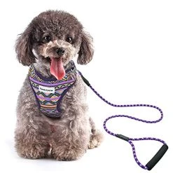Mia's Pet Supply Multi-Colored Stylish Dog Walking Vest Harness And Leash Set- Leashes And Harness