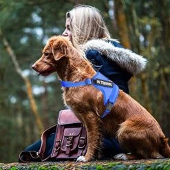 Mia's Pet Supply Leashes And Harness NOYAL In Training Dog Harness, Soft Breathable Mesh Dog Vest Harness