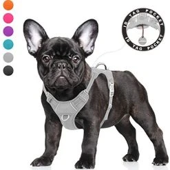 Mia's Pet Supply BARKBAY No Pull Dog Harness Large Step In Reflective Dog Harness Leashes And Harness
