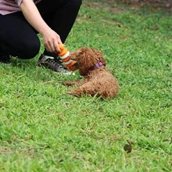 Mia's Pet Supply Dog Treat Bone - Nontoxic Dental Chew Toy for Dogs, Best Sale 💯 17 Mia's Pet Supply Dog Treat Bone Nontoxic Dental Chew Bone