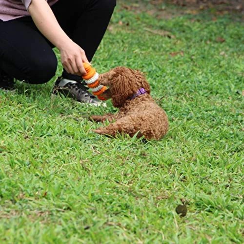 Mia's Pet Supply Dog Treat Bone - Nontoxic Dental Chew Toy for Dogs, Best Sale 💯 9 Mia's Pet Supply Dog Treat Bone Nontoxic Dental Chew Bone