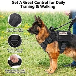 Mia's Pet Supply Tactical Dog Harness And Bungee Dog Leash Set For Large Medium Dogs Leashes And Harness