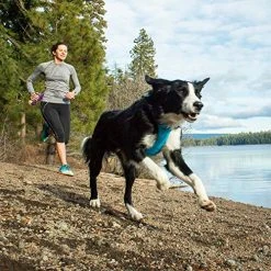 Mia's Pet Supply RUFFWEAR, Front Range Dog Harness Leashes And Harness