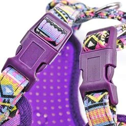 Mia's Pet Supply Multi-Colored Stylish Dog Walking Vest Harness And Leash Set- Leashes And Harness