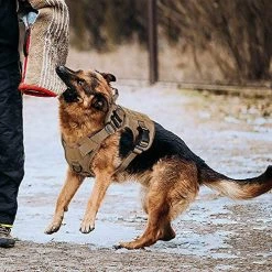 Mia's Pet Supply Tactical Dog Harness Vest No Pull With Handle Front Clip Military Training Harness Leashes And Harness