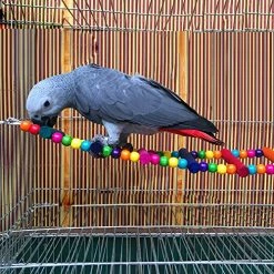 Mia's Pet Supply: Decorative Bird Cage Accessories, Aviary Perches & Training Tools for Birds 10 Mia's Pet Supply : Bird Cage Accessories Decorative Birdcage Training Aviary & Perches