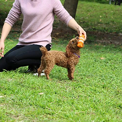 Mia's Pet Supply Dog Treat Bone - Nontoxic Dental Chew Toy for Dogs, Best Sale 💯 4 Mia's Pet Supply Dog Treat Bone Nontoxic Dental Chew Bone