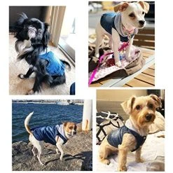Mia's Pet Supply Cool Blue Denim Coat Small Medium Dogs Apparel