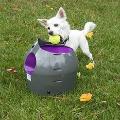 Mia's Pet Supply : PetSafe Automatic Ball Launcher Dog Toy, Tennis Ball Throwing Machine For Dogs