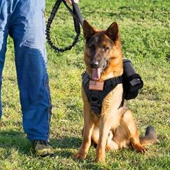 Mia's Pet Supply Tactical Dog Harness And Bungee Dog Leash Set For Large Medium Dogs Leashes And Harness