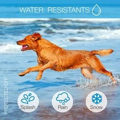 Mia's Pet Supply Dog Bark Collar - Affordable & Effective No-Bark Training for Dogs 15 Mia's Pet Supply : Dog Rook Dog Bark Collar