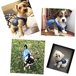 Mia's Pet Supply Cool Blue Denim Coat Small Medium Dogs Apparel