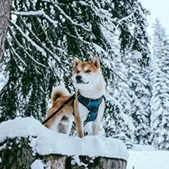 Mia's Pet Supply Embark Adventure Harness for Dogs - Durable & Comfortable Leash & Harness Set 17 Mia's Pet Supply Leashes And Harness : Embark Adventure Harness For Dogs