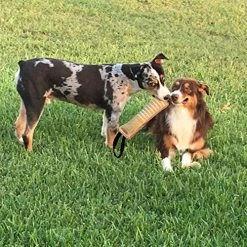 Mia's Pet Supply Dog Toys Dog Tug Toy |Tug Of War Dog Toy |Jute Bite Pillow With 2 Handles For Puppy Training