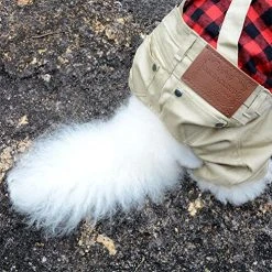 Mia's Pet Supply Apparel : Pet Sweater With Khaki Overalls Pants