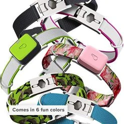 Mia's Pet Supply Leashes And Harness : Whistle GO/GO Explore/Twist & Go Pet Collars/Squirrel Grey/Medium-Large : Pet Supplies