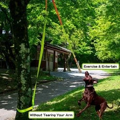 Mia's Pet Supply Dog Toys Outdoor Hanging Bungee Dog Tug Toy, Interactive Tug-of-War