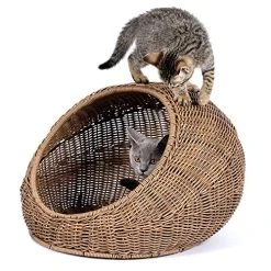 Mia's Pet Supply GARDEN Wicker Cat Bed Dome For Medium Indoor Cats Bedding