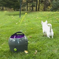 Mia's Pet Supply : PetSafe Automatic Ball Launcher Dog Toy, Tennis Ball Throwing Machine For Dogs