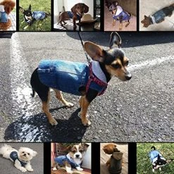 Mia's Pet Supply Cool Blue Denim Coat Small Medium Dogs Apparel