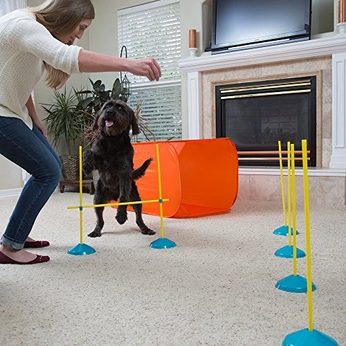 Outward Hound ZipZoom Indoor Dog Agility Training Kit for Dogs - Fun & Interactive Pet Training Set 5 Mia's Pet Supply Outward Hound ZipZoom Indoor Dog Agility Training For Dogs : Outward Hound